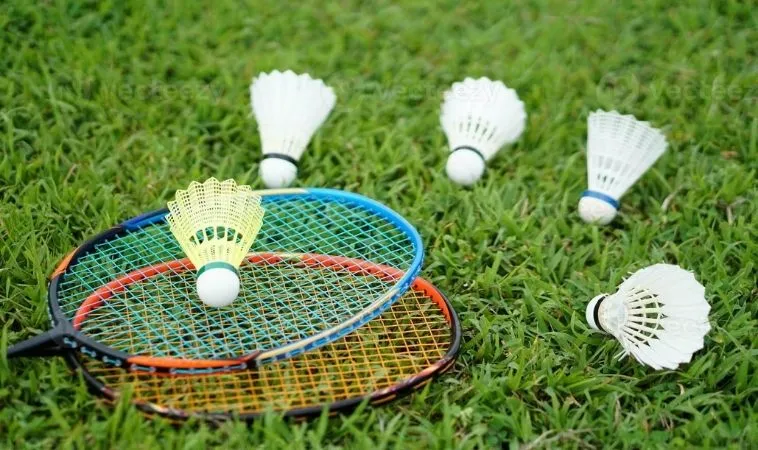 Hướng Dẫn Cách Chơi Cá Cược Cầu Lông Tại Gi8 Chuẩn Nhất 2 Cần tìm hiểu về bộ môn cầu lông trước khi cá cược